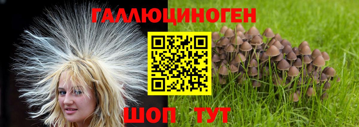 Галлюциногенные грибы Cubensis  Вход с VPN  закладки  Галлюциногенные грибы MAGIC MUSHROOMS  Георгиевск 