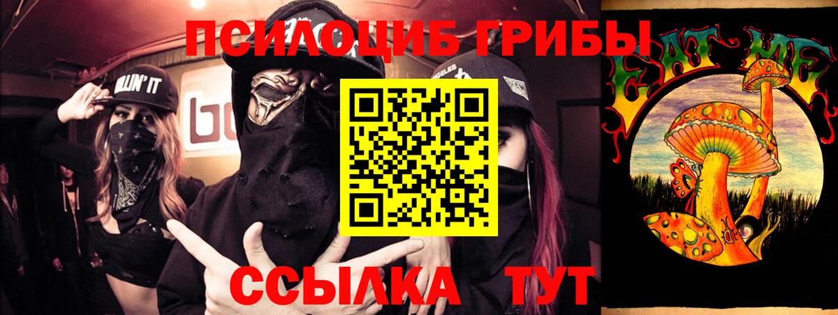 Галлюциногенные грибы MAGIC MUSHROOMS Георгиевск